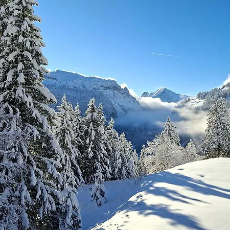Apartment Renove Confortable, Proche Pistes Et Commerces, Balcon - Fr-1-425-162