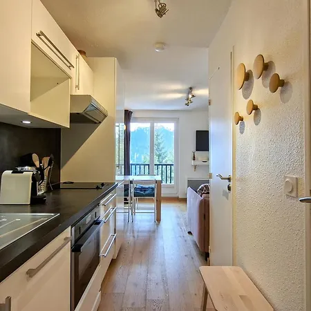 Apartment Renove Confortable, Proche Pistes Et Commerces, Balcon Flaine
